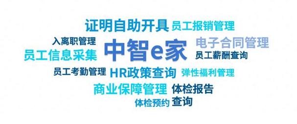 中智e家是做什么的？公司背景与业务揭秘。-图1