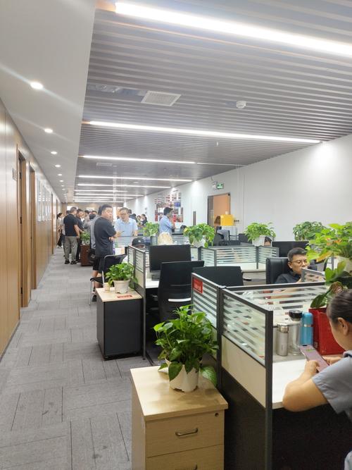 深圳市鼎合人力资源公司有何优势?-图2 深圳市鼎合人力资源公司有何优势?-图2