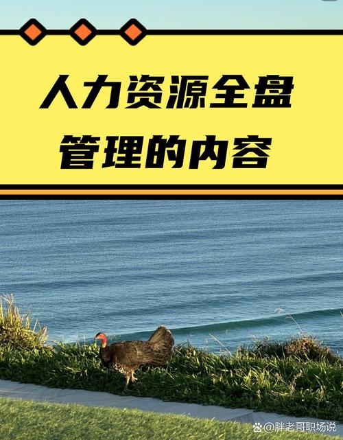 HROOT如何重塑中国人力资本管理？-图2