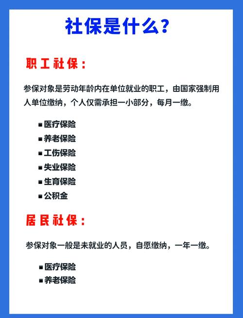 同一个法人不同公司社保-图1