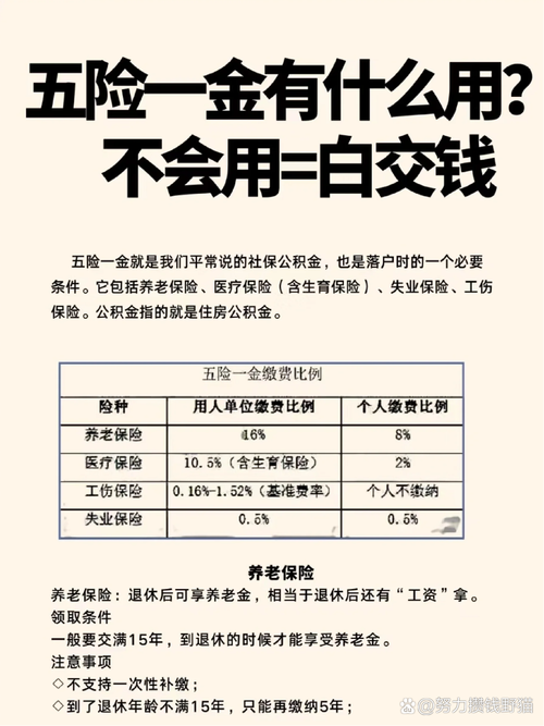 小公司五险一金外包怎么选？-图2