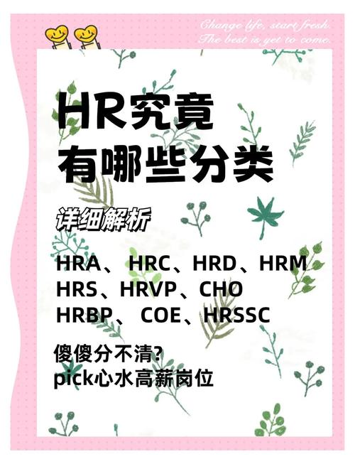 能否向HR询问公司流动性？-图3