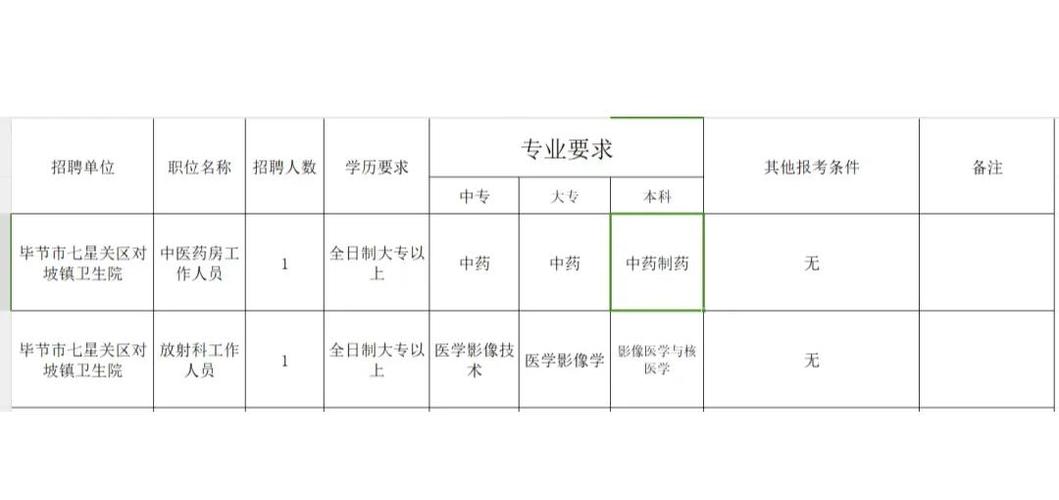 毕节市招聘有哪些岗位和要求？-图3