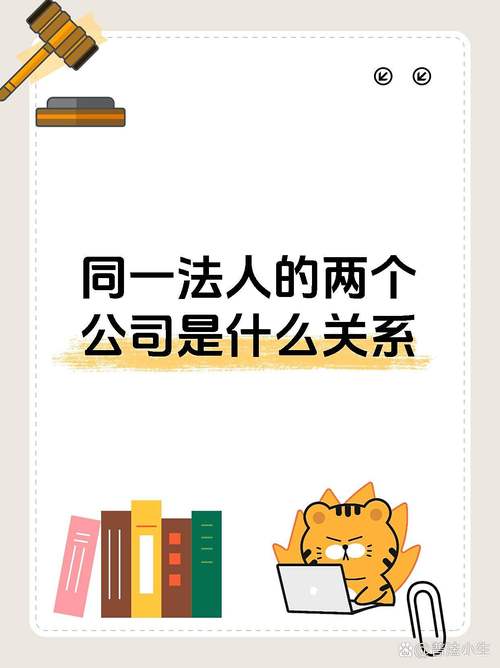 两个公司两个不同法人-图1 两个公司两个不同法人-图1