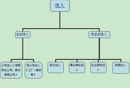 两个公司两个不同法人-图2 两个公司两个不同法人-图2