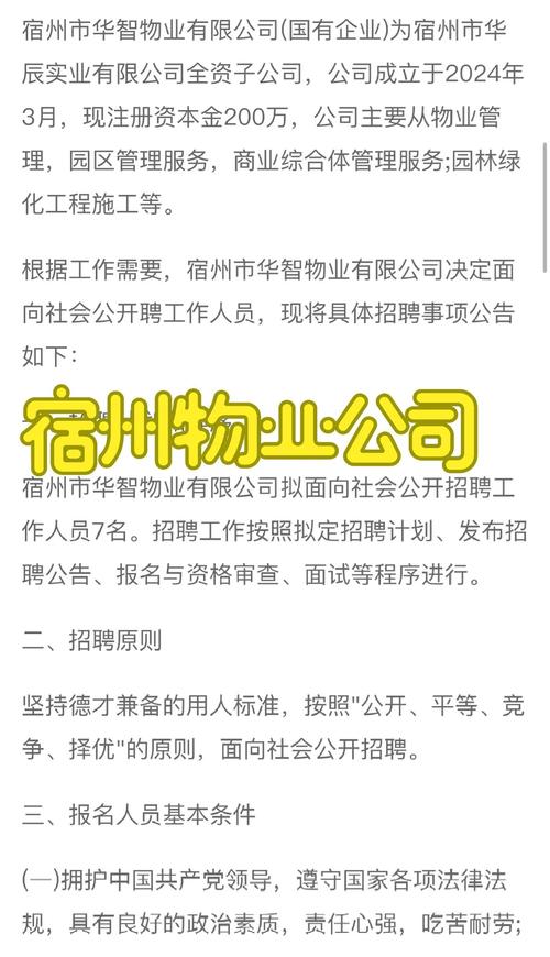 宿州高新区招聘-图1 宿州高新区招聘-图1