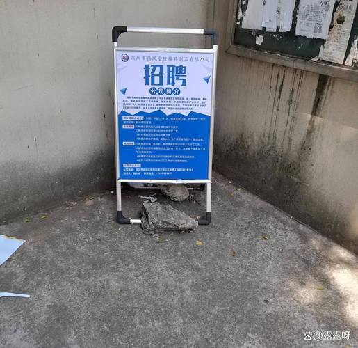 深圳城管招聘何时开始？要求有哪些？-图2