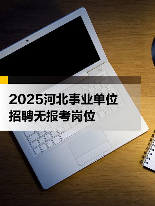 河北省人力资源管理公司有何服务优势?-图3 河北省人力资源管理公司有何服务优势?-图3