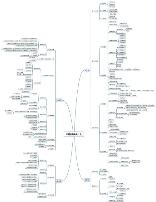互联网公司HR与HRBP如何分工协作？-图1