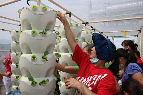 无土栽培招聘,具体岗位要求有哪些?-图1 无土栽培招聘,具体岗位要求有哪些?-图1