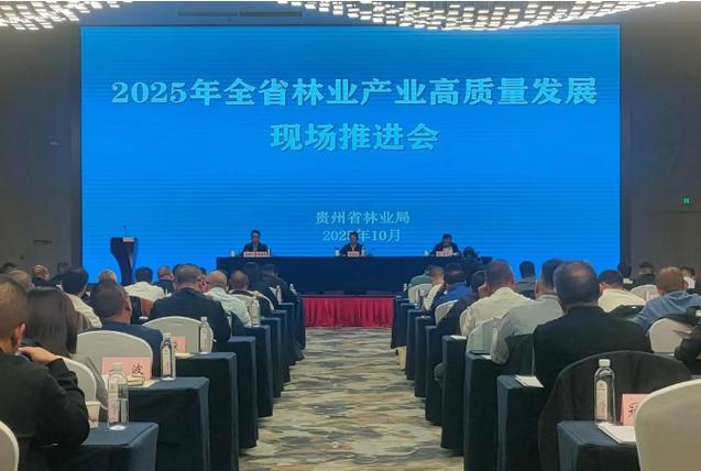 黔西南州林业投资公司如何助力生态与经济双赢？-图1