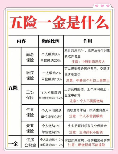 不缴五险一金，公司和个人风险何在？-图1