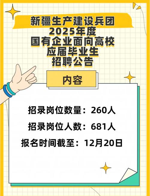 新疆招聘网最新招聘有哪些岗位？-图3