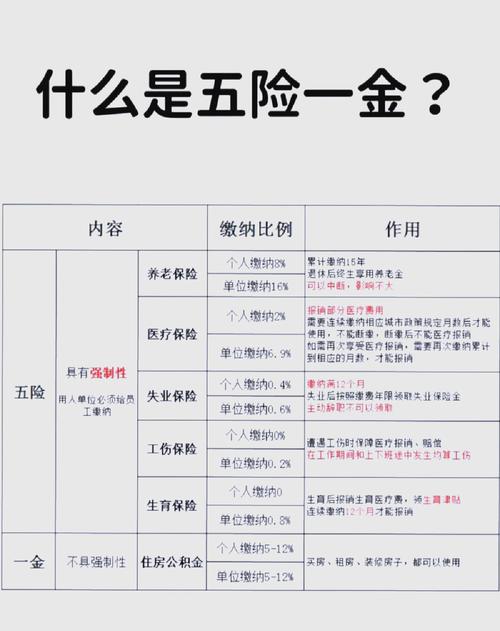 新成立公司暂未交五险一金怎么办?-图1 新成立公司暂未交五险一金怎么办?-图1