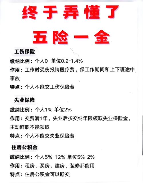 新成立公司暂未交五险一金怎么办?-图2 新成立公司暂未交五险一金怎么办?-图2