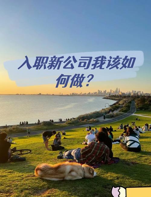 新公司应聘,该注意哪些关键点?-图1 新公司应聘,该注意哪些关键点?-图1