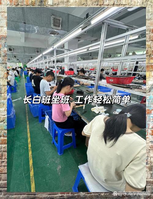 深圳宝安沙井招聘,有哪些岗位?-图1 深圳宝安沙井招聘,有哪些岗位?-图1