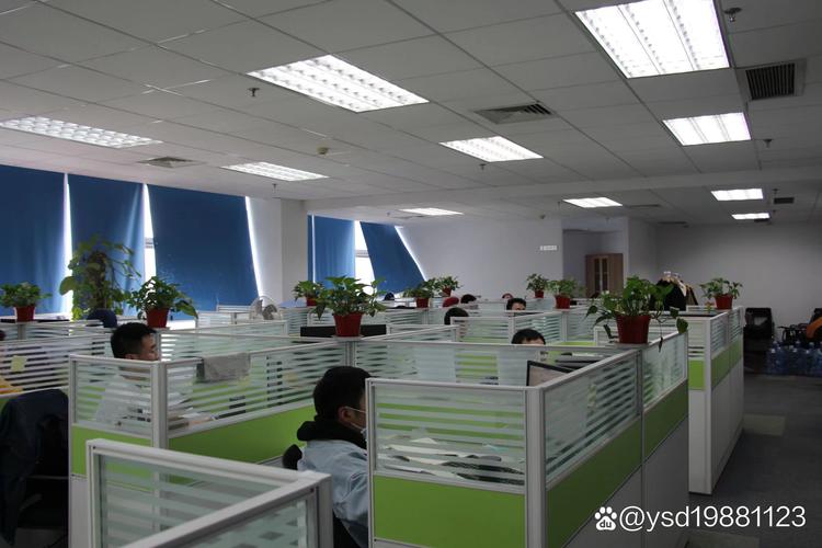 苏州市人力资源有限公司有何服务优势？-图1