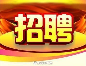 安阳殷都区招聘啥岗位？要求高吗？-图3