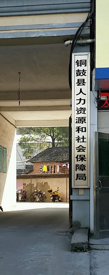 劳动服务公司社保局是什么机构？-图2