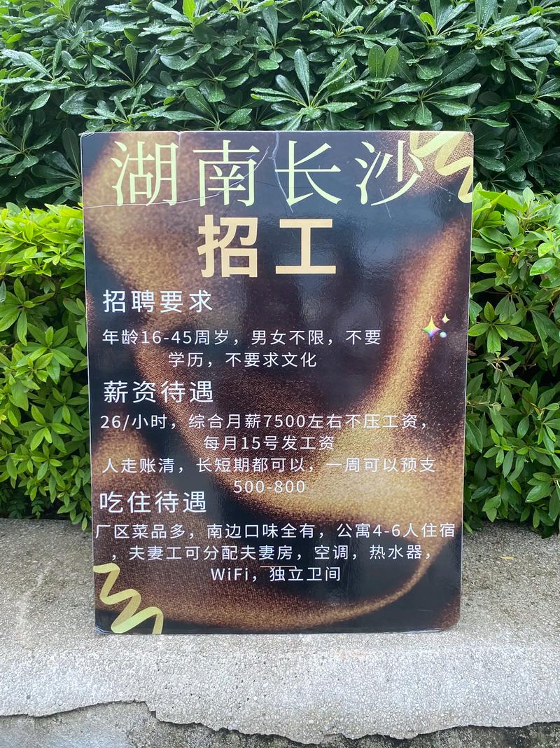 武汉花山招聘有哪些岗位?-图3 武汉花山招聘有哪些岗位?-图3