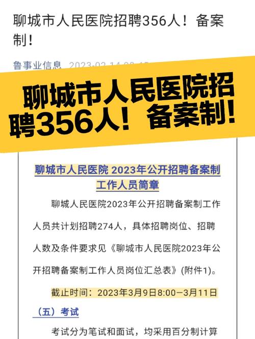 聊城市招聘有哪些岗位和要求?-图3 聊城市招聘有哪些岗位和要求?-图3