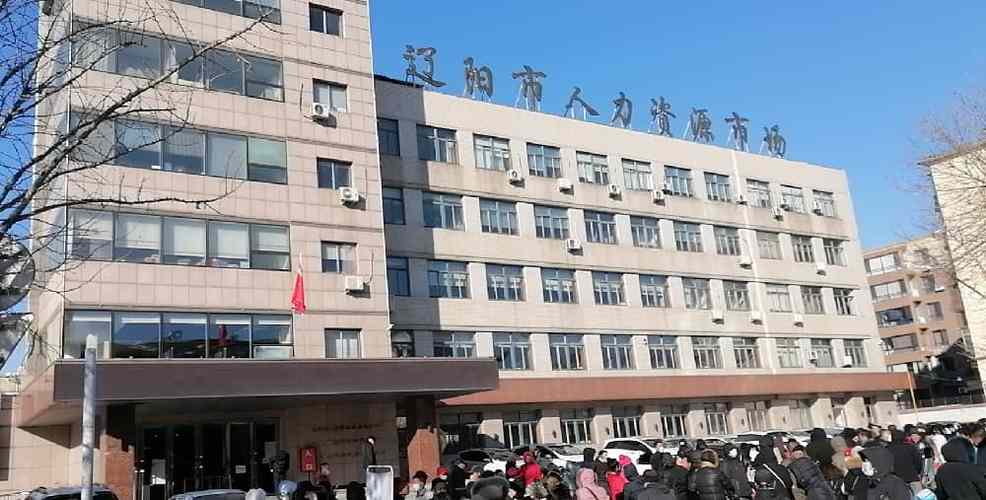 力了人力资源沈阳有限公司怎么样？-图2