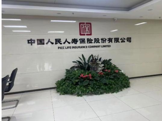 保险公司驻乡镇代表工资多少？-图2