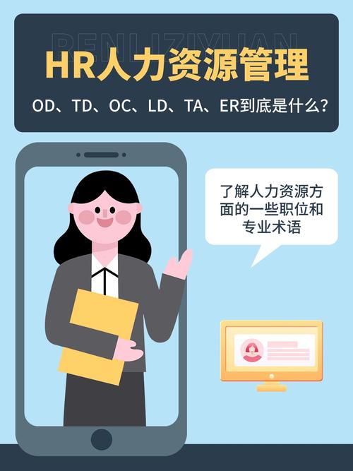 HR选管理咨询还是企业？哪个更合适？-图1