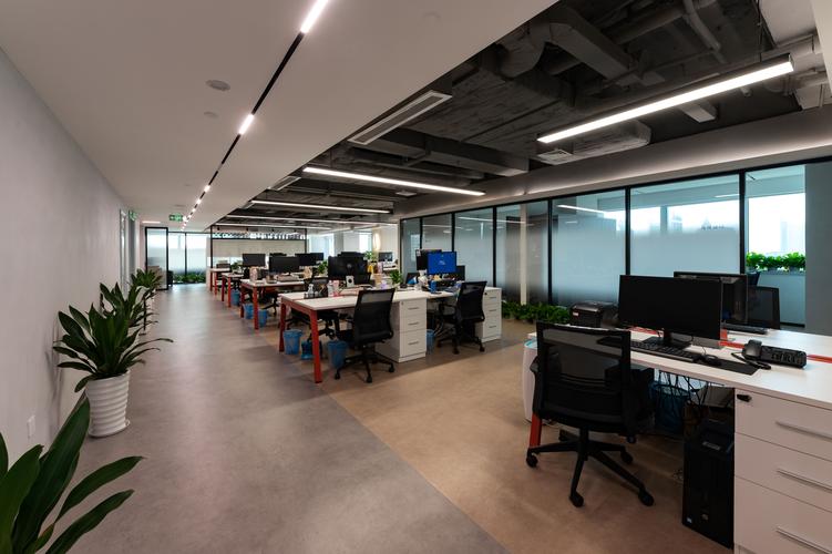 中智服务有限公司怎么样-图2 中智服务有限公司怎么样-图2