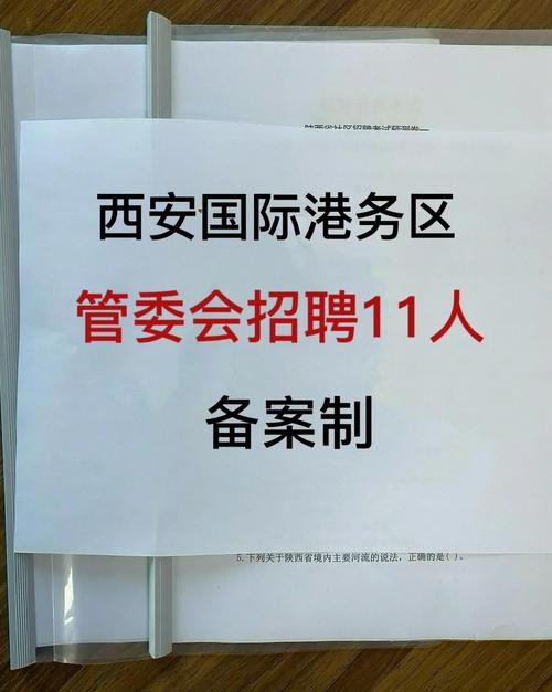 国际港务区招聘-图1