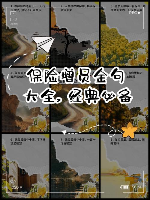 再保险公司有了人力才会-图3