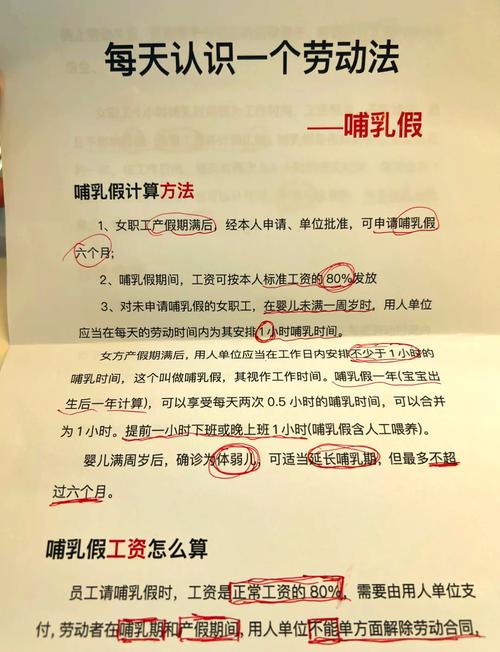 入职新公司还在哺乳期-图1