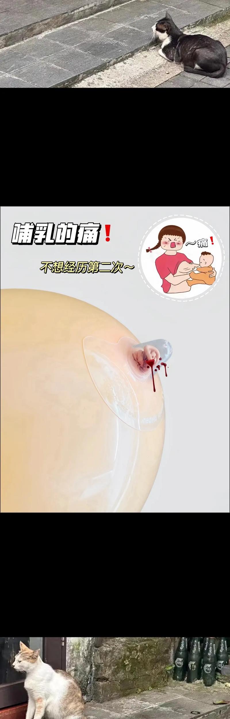 入职新公司还在哺乳期-图2