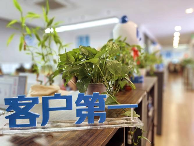 上海人力资源公司数量有多少?-图2 上海人力资源公司数量有多少?-图2