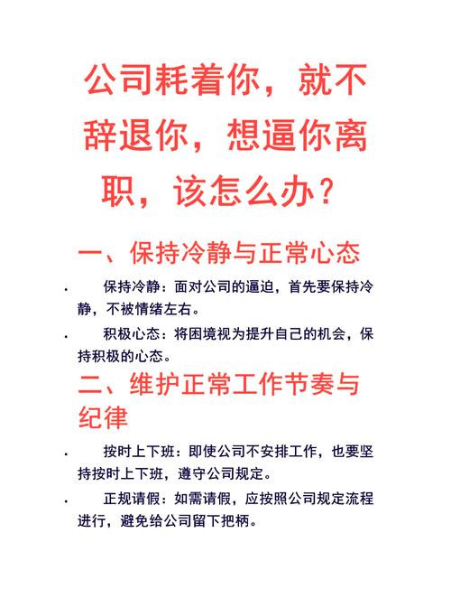 人力资源公司跑了怎么办-图2