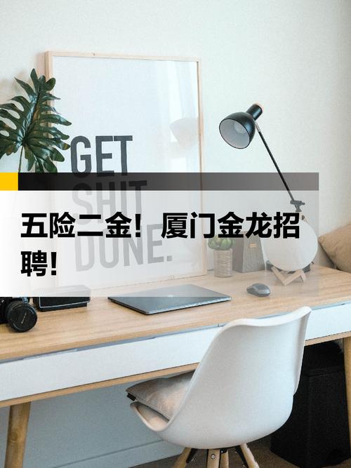 厦门金龙招聘-图1