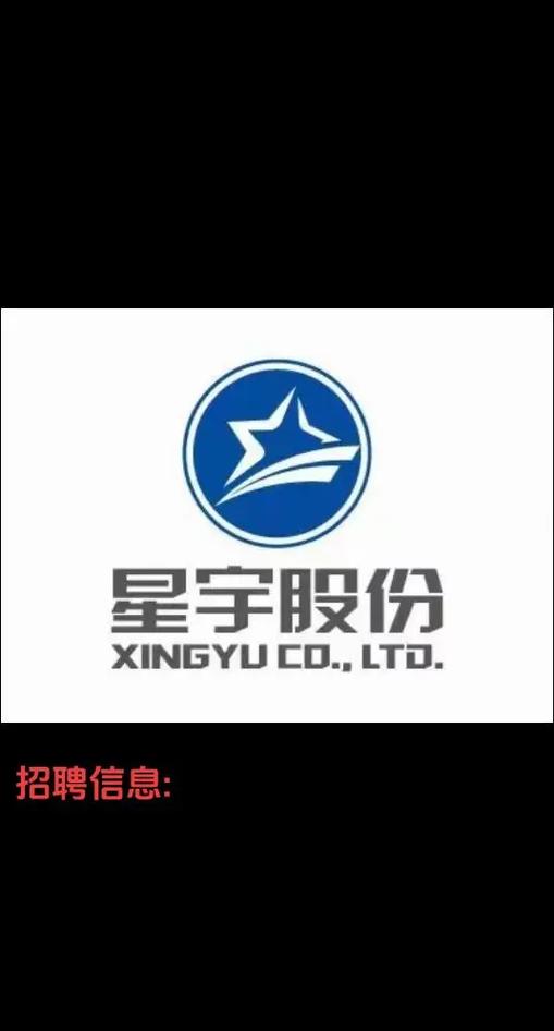 星宇人力资源有限公司-图1