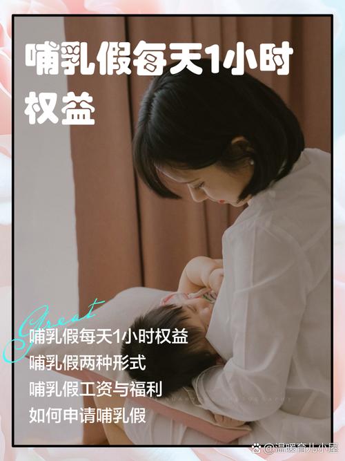 公司不给休哺乳假怎么办-图2