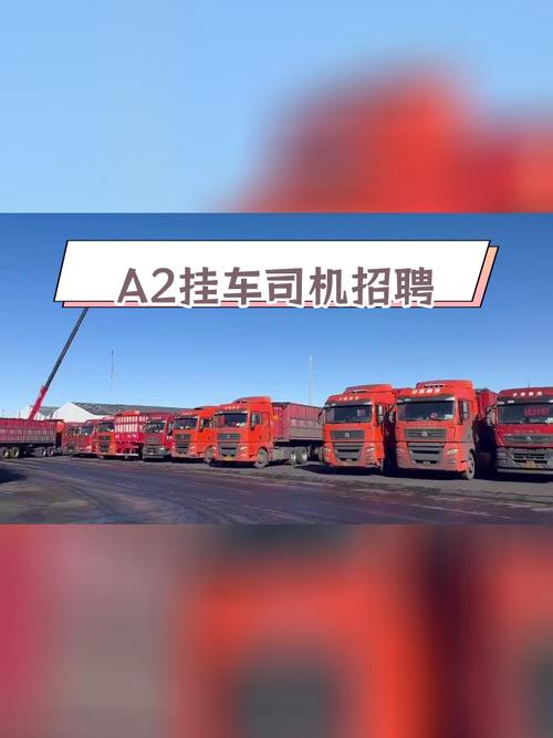 半挂司机最新招聘-图1