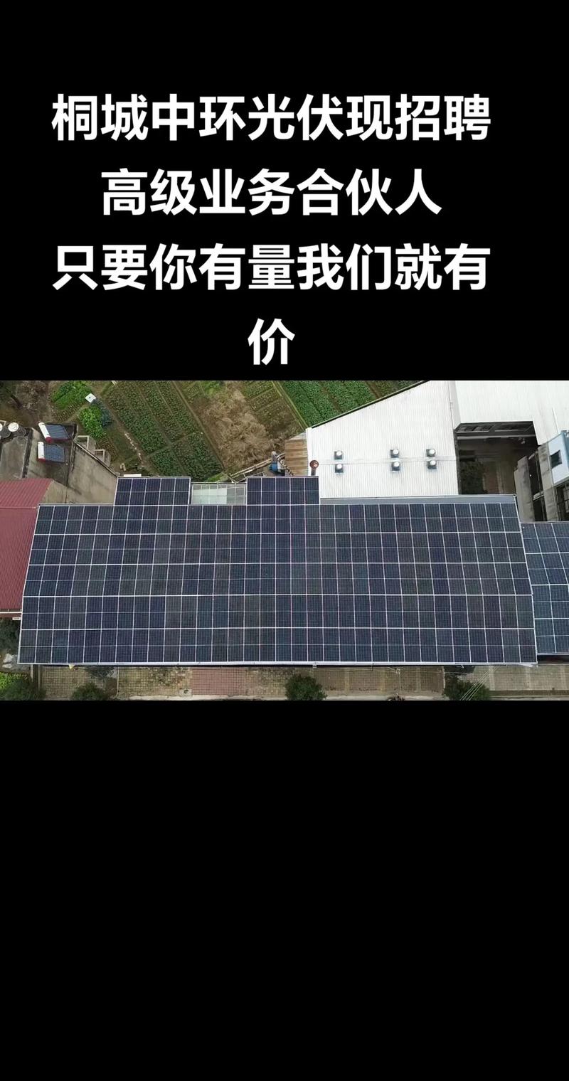 中环光伏招聘，哪些岗位在招？-图1