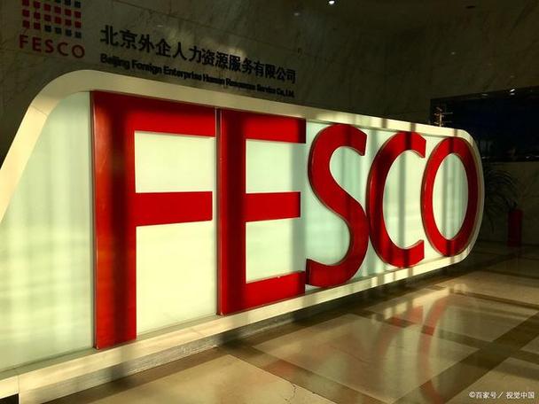 中总北京人力资源公司有何优势？-图2