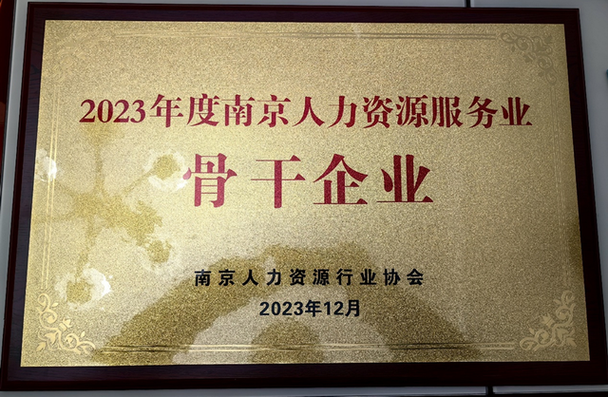 南京有哪些靠谱的人力资源公司？-图2