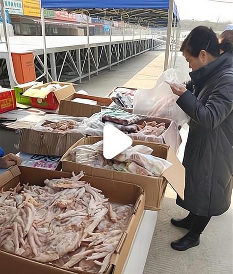 海南东门市场冻品公司哪家靠谱？-图1