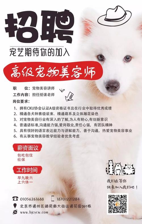 宠物美容师招聘要求有哪些?-图2 宠物美容师招聘要求有哪些?-图2