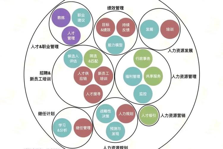 这类公司具体提供哪些人力资源服务？-图1