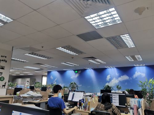 田鑫人力资源公司具体提供哪些服务？-图3