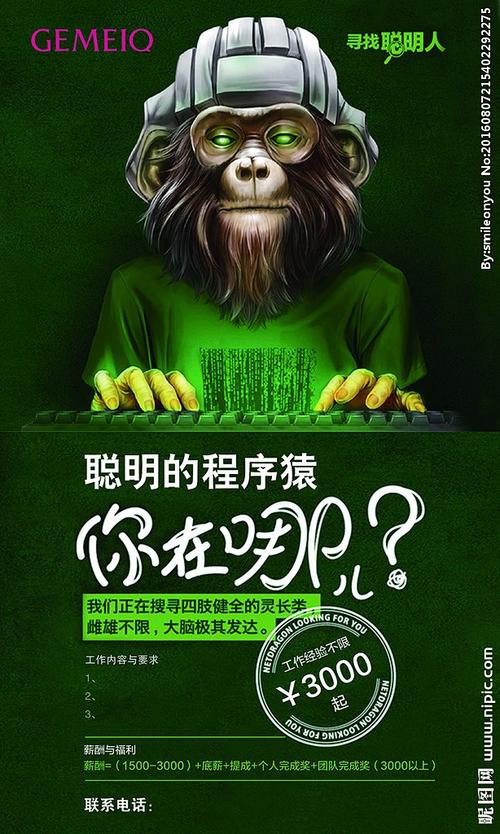 北京程序员招聘，哪些岗位最热门？-图2