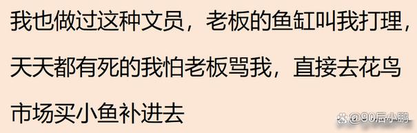 老板让我去他公司跑业务-图1