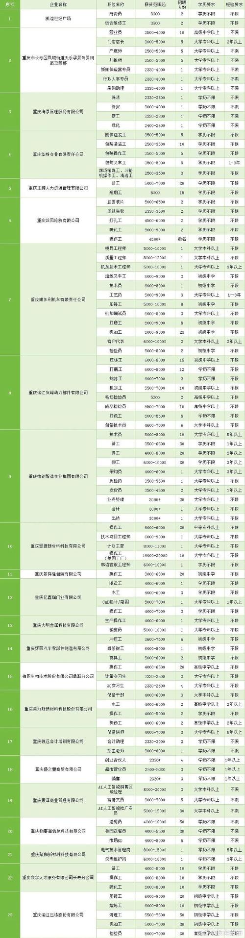重庆人力资源公司排行榜哪家强？-图2
